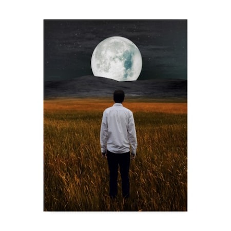 Ata Alishahi 'Moon And Me' Canvas Art,24x32